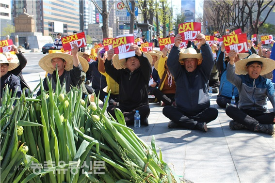 전남지역 대파 생산 농가들이 서울 세종로에서 정부에 대파 산지 폐기를 요구하고 있다.