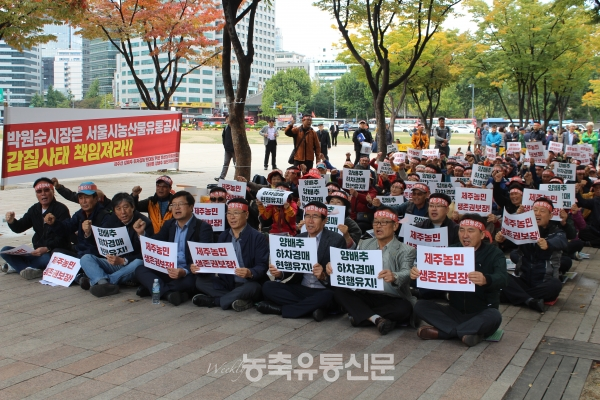 제주도 양배추 생산농가와 산지유통인들이 서울광장에서 가락시장의 하차거래를 반대하는 상경 시위를 하고 있다.