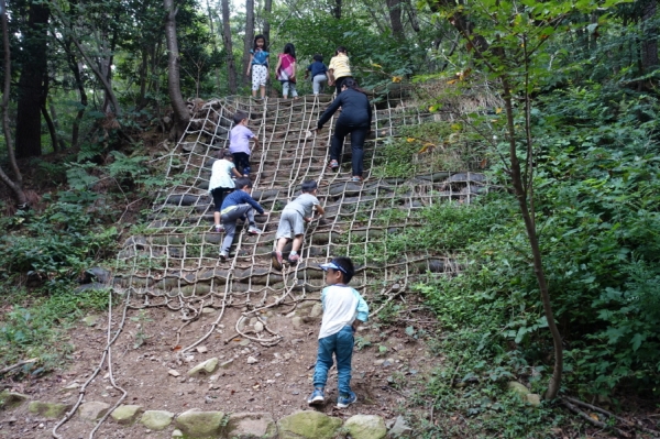 어린이들이 숲 체험활동을 하고 있다.