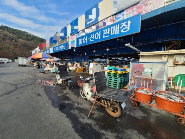 대구북부 수산물도매시장 전경.(사진에 나온 상호와 기사는 관련 없음)