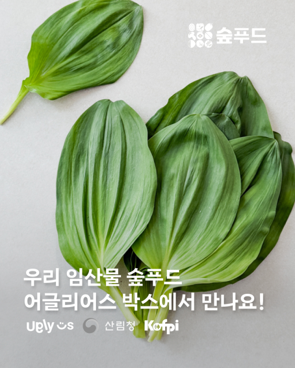 푸드숲 이미지