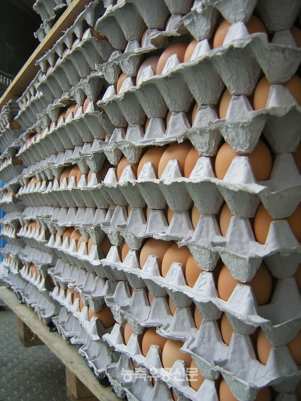 계란의 기준가격은 가격을 정하는 주체가 따로 없기 때문에 가장 낮은 가격이 기준가격이 된다.