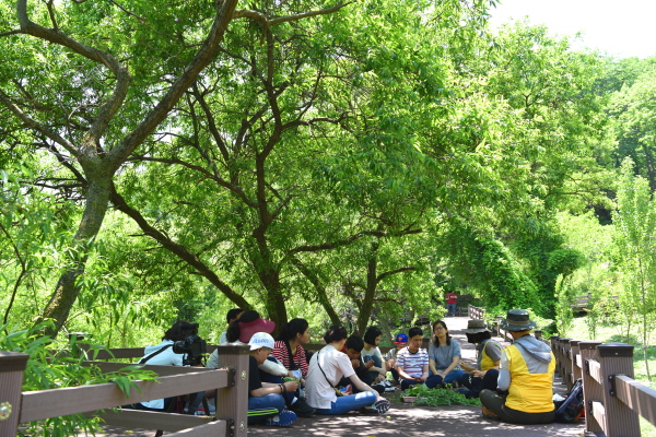 생거진천자연휴양림에서 학생들이 숲해설가의 설명을 듣고 있는 모습.