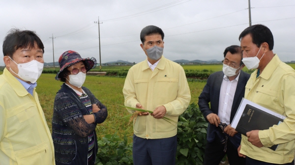 이원택 더불어민주당 의원이 전북 김제와 부안 병해충 피해지역을 방문해 피해상황을 점검했다.